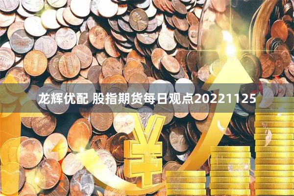 龙辉优配 股指期货每日观点20221125