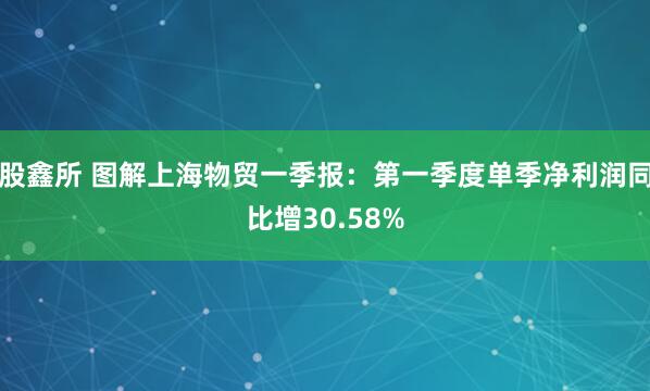 股鑫所 图解上海物贸一季报：第一季度单季净利润同比增30.58%