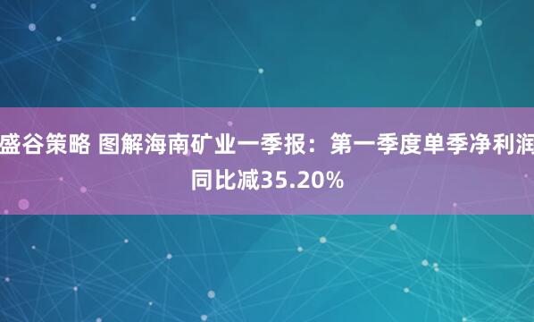 盛谷策略 图解海南矿业一季报：第一季度单季净利润同比减35.20%