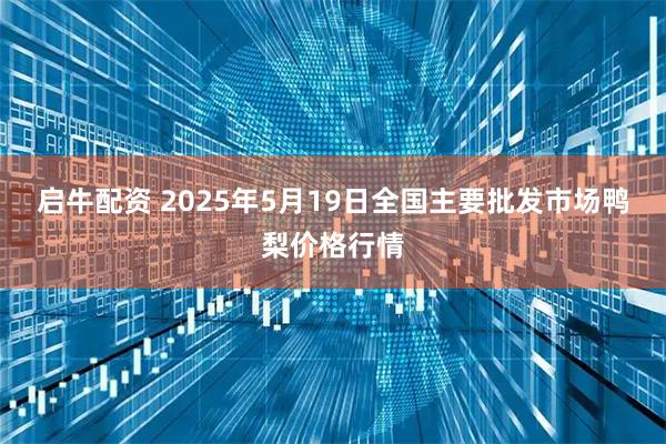 启牛配资 2025年5月19日全国主要批发市场鸭梨价格行情