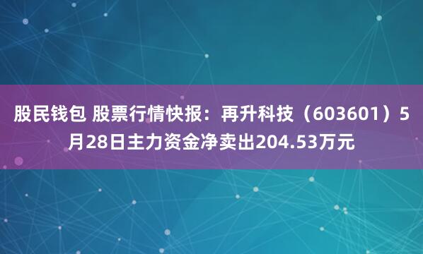 股民钱包 股票行情快报：再升科技（603601）5月28日主力资金净卖出204.53万元