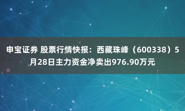 申宝证券 股票行情快报：西藏珠峰（600338）5月28日主力资金净卖出976.90万元