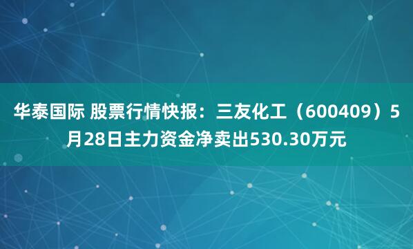 华泰国际 股票行情快报：三友化工（600409）5月28日主力资金净卖出530.30万元