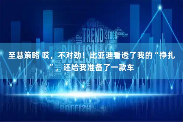 至慧策略 哎，不对劲！比亚迪看透了我的“挣扎”，还给我准备了一款车