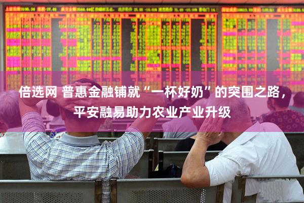 倍选网 普惠金融铺就“一杯好奶”的突围之路，平安融易助力农业产业升级