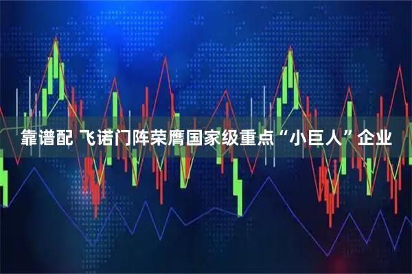 靠谱配 飞诺门阵荣膺国家级重点“小巨人”企业