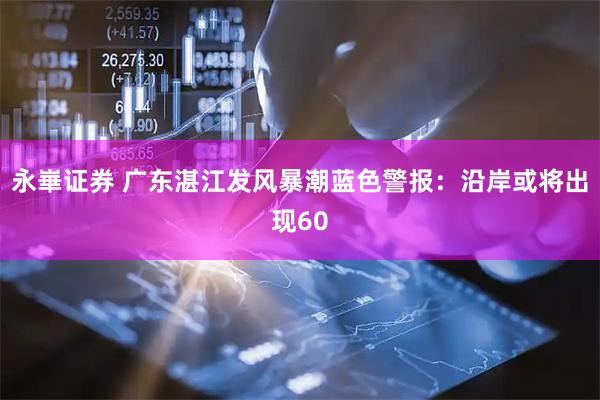 永崋证券 广东湛江发风暴潮蓝色警报：沿岸或将出现60