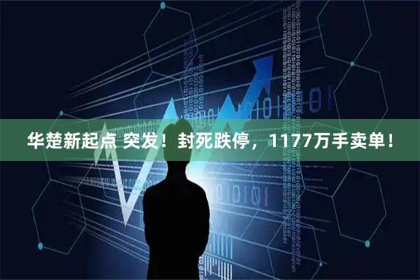 华楚新起点 突发！封死跌停，1177万手卖单！