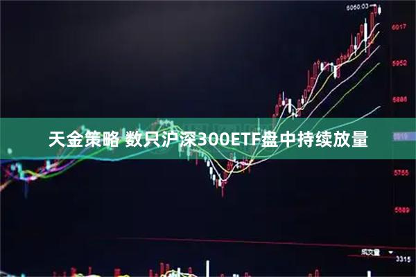 天金策略 数只沪深300ETF盘中持续放量