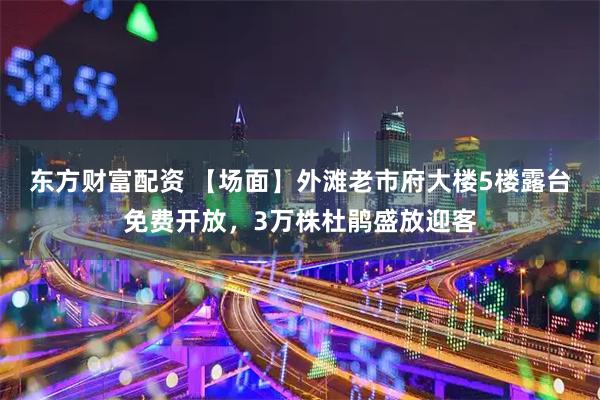 东方财富配资 【场面】外滩老市府大楼5楼露台免费开放，3万株杜鹃盛放迎客
