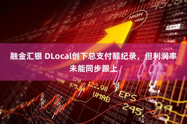 融金汇银 DLocal创下总支付额纪录，但利润率未能同步跟上