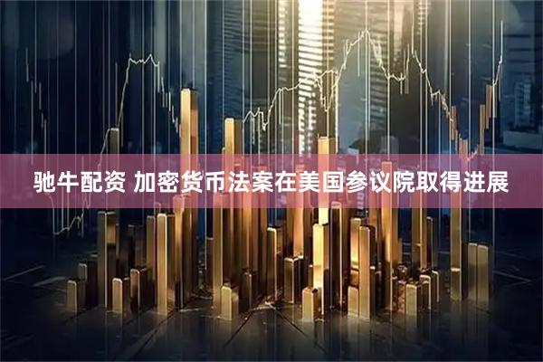 驰牛配资 加密货币法案在美国参议院取得进展